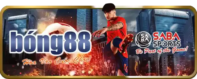 Chương Trình Hoàn Trả fafa191